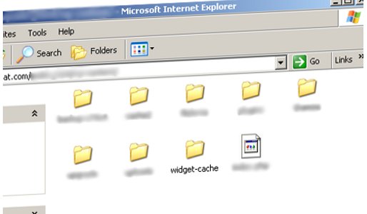 widget-cache